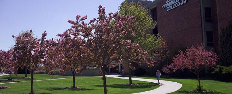 布莱顿校园建筑在春天的照片.